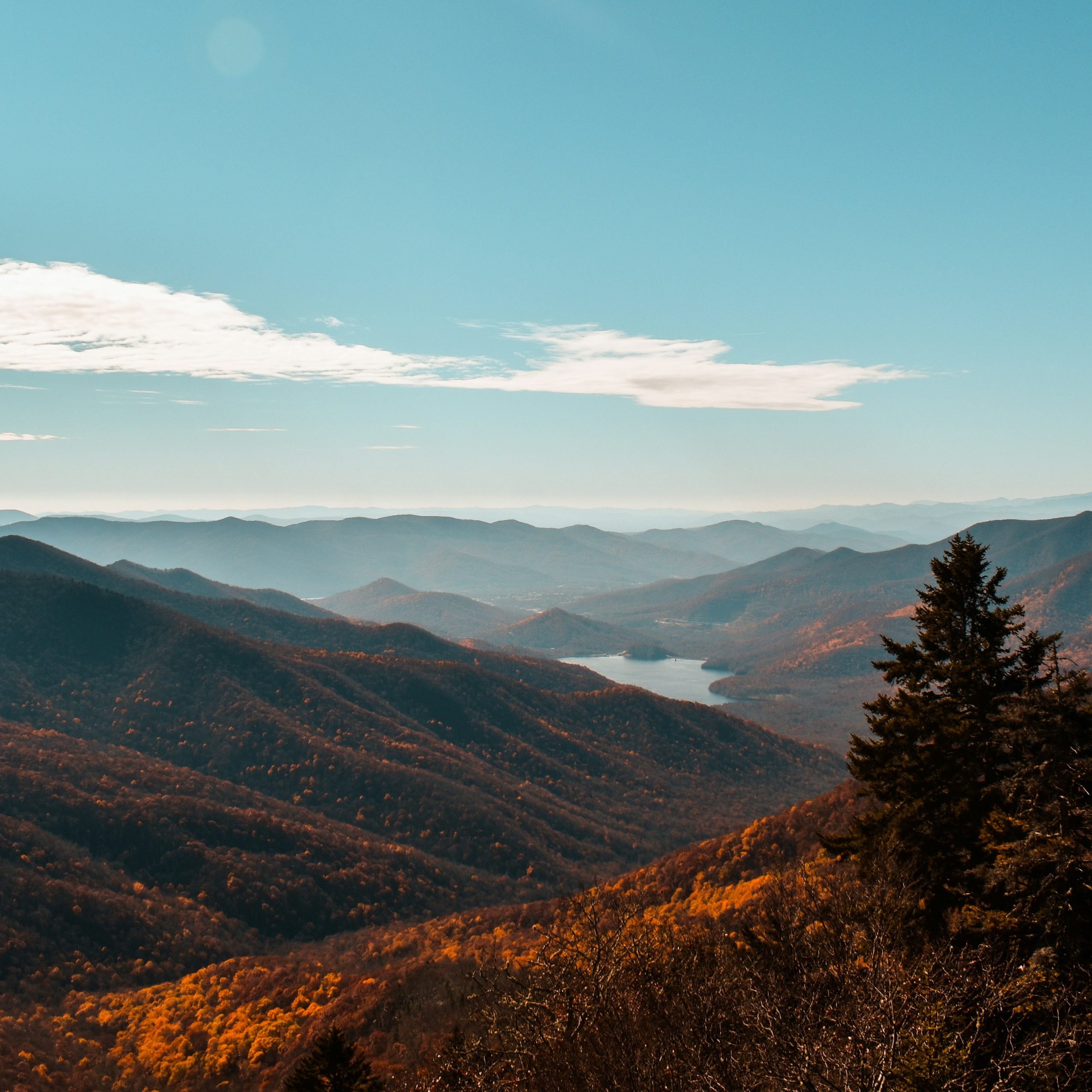 Asheville - Copy
